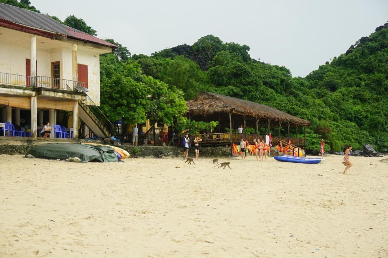 Cat Ba Green Bamboo Forest Dong Khe Sau Exterior foto